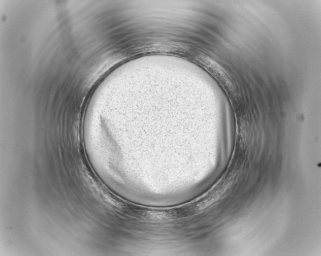 X0000088580794200706221315