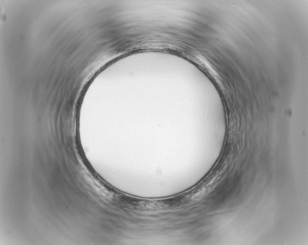 X0000088580795200706221315