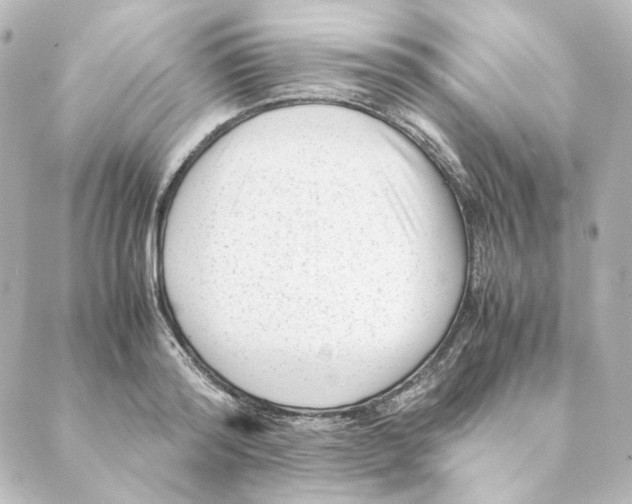 X0000088580796200706221315