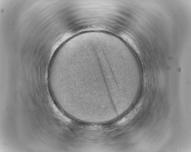 X0000088580797200706221315