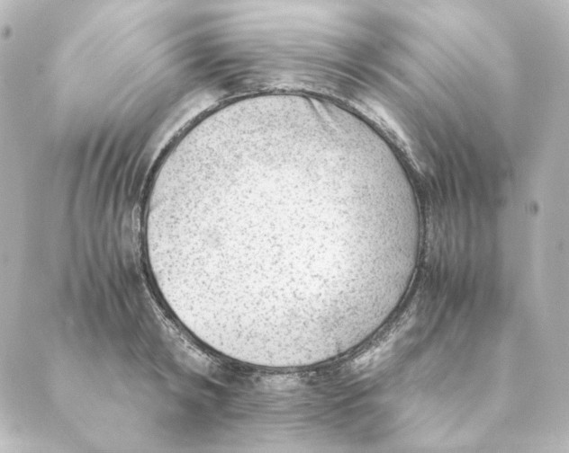 X0000088580798200706221315