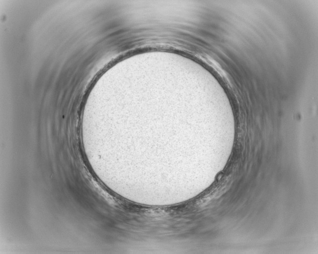 X0000088580799200706221315