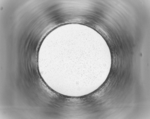 X0000088580800200706221315