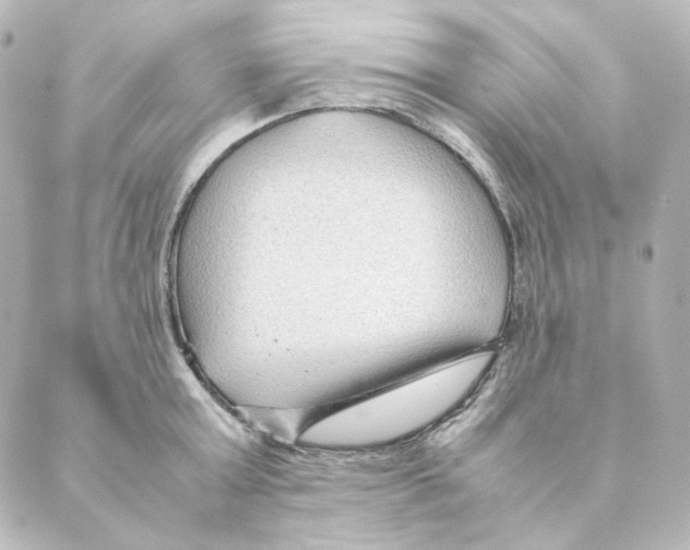 X0000088580803200706221315