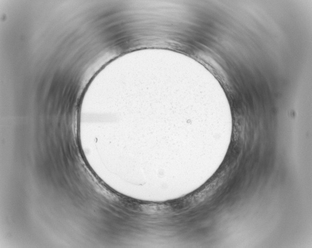 X0000088580804200706221315