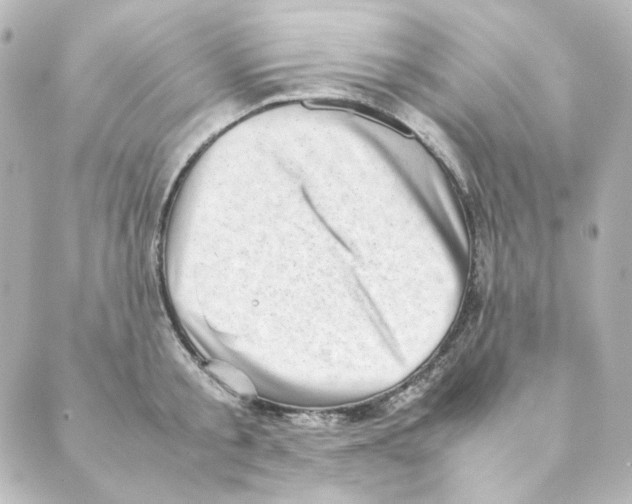 X0000088580805200706221315