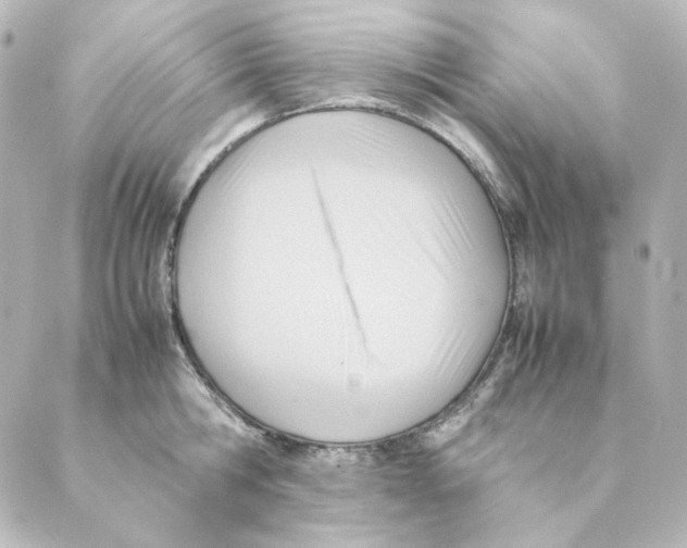 X0000088580806200706221315