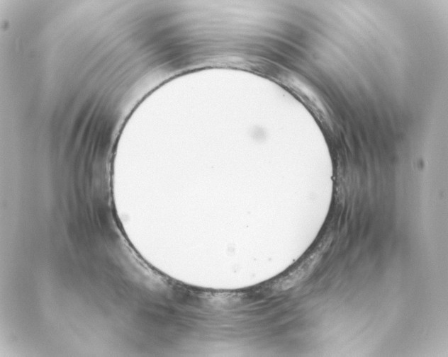 X0000088580808200706221315