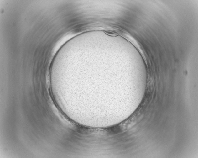 X0000088580811200706221314