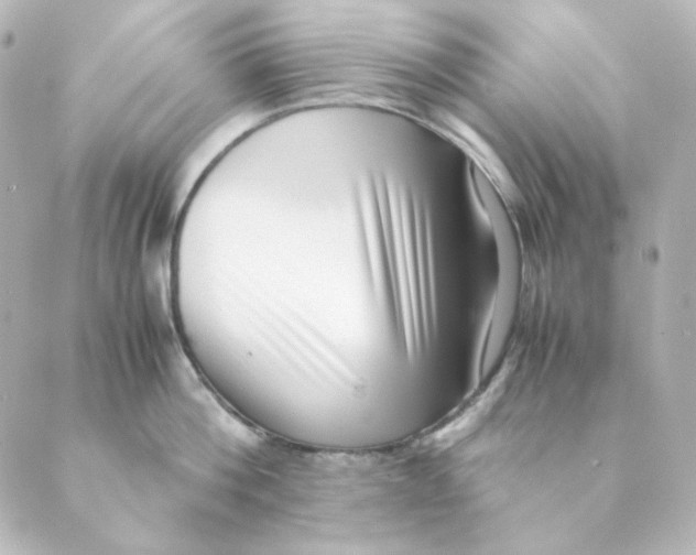 X0000088580812200706221314