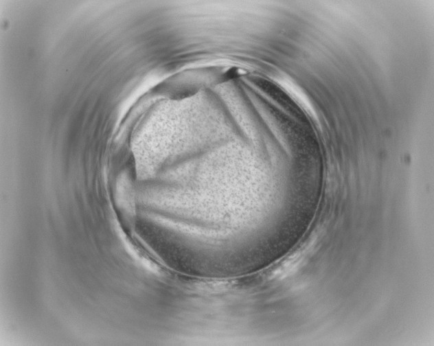 X0000088580813200706221314