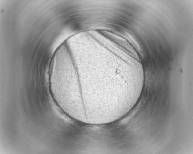 X0000088580814200706221314