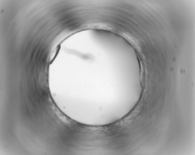 X0000088580816200706221314