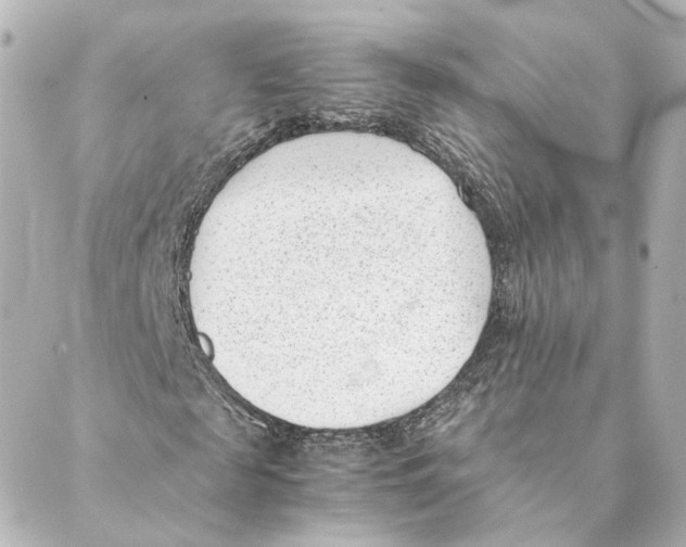 X0000088580817200706221314