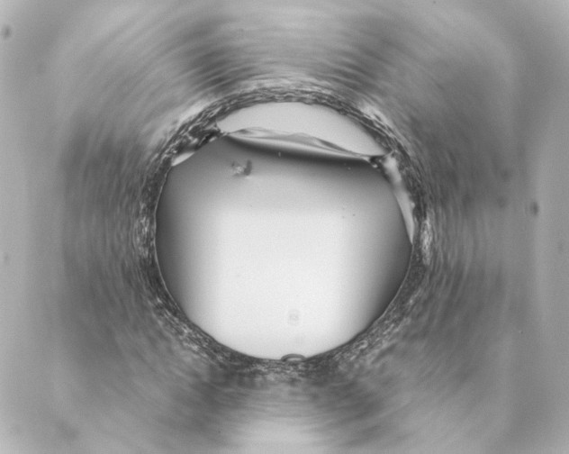 X0000088580822200706221314