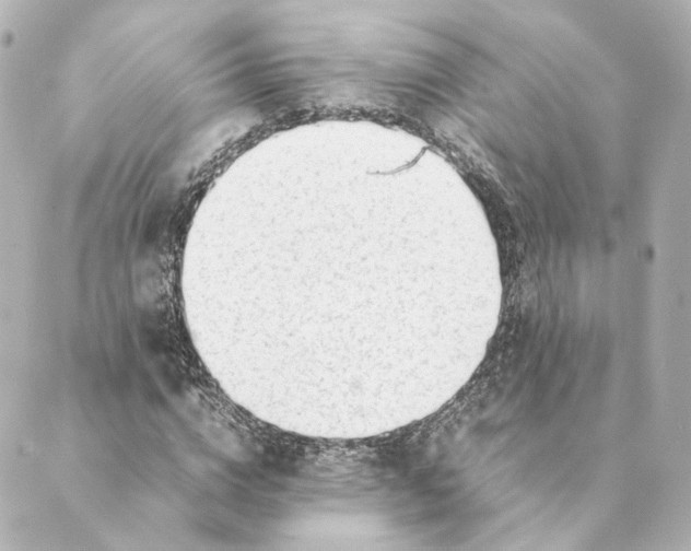 X0000088580824200706221314