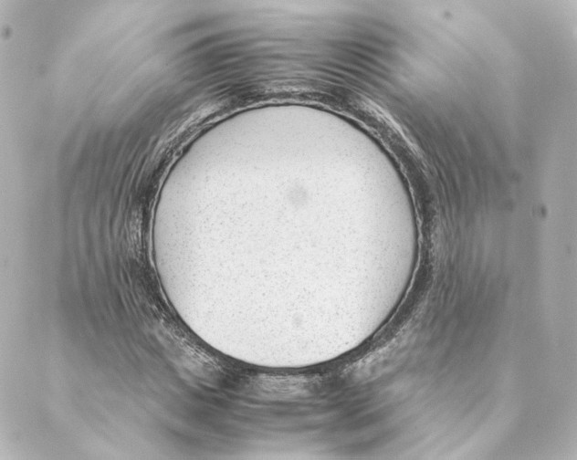 X0000088580825200706221314