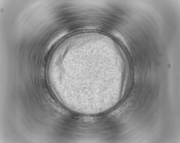 X0000088580827200706221314