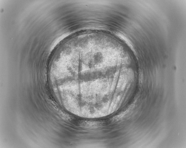 X0000088580829200706221314