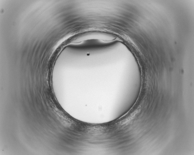 X0000088580830200706221314