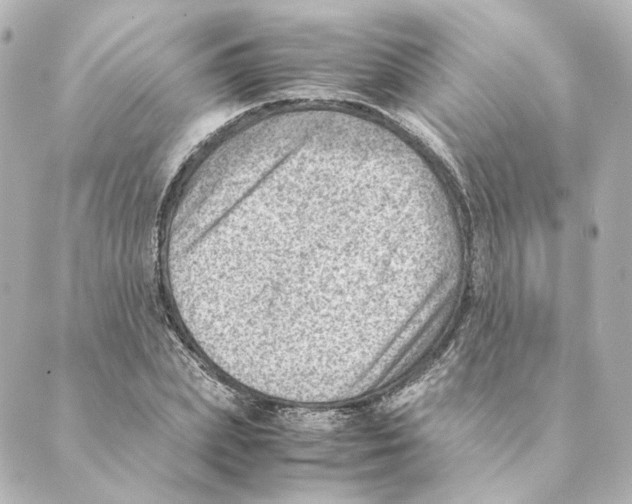 X0000088580831200706221314