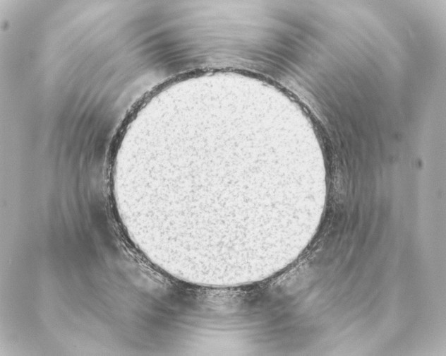 X0000088580832200706221314