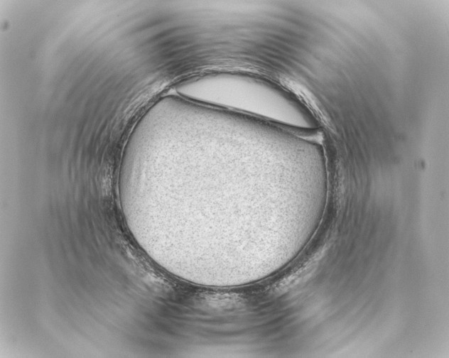 X0000088580833200706221314