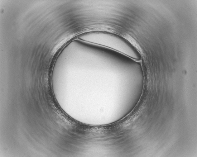 X0000088580834200706221314