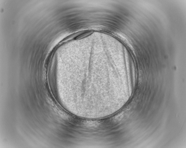 X0000088580835200706221314