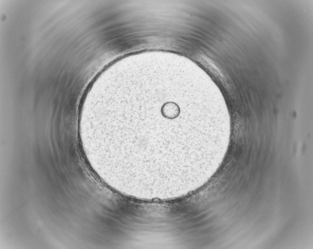 X0000088580836200706221314