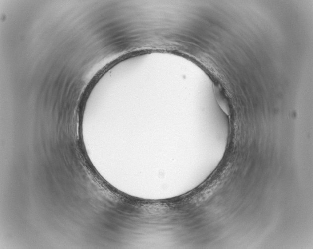 X0000088580838200706221314