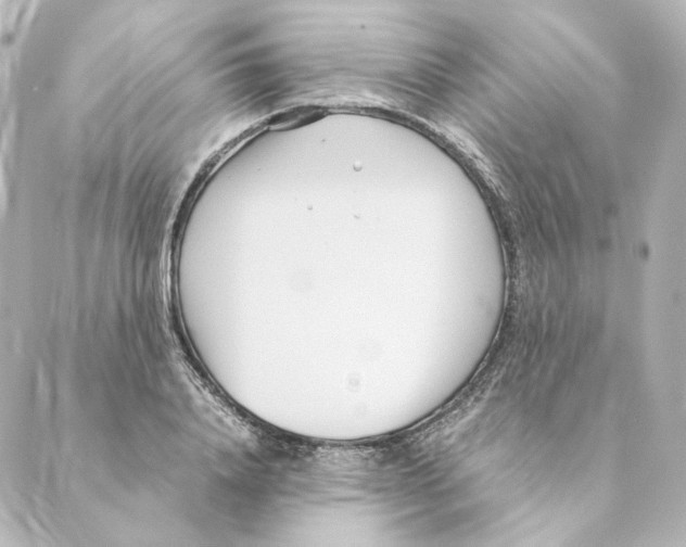 X0000088580840200706221314