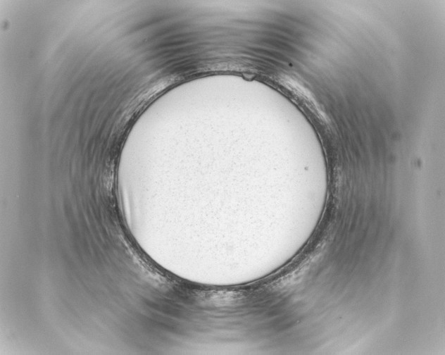 X0000088580841200706221314