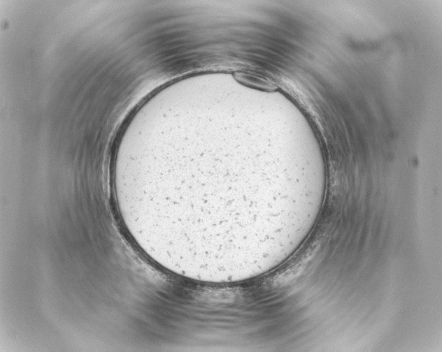 X0000088580843200706221314