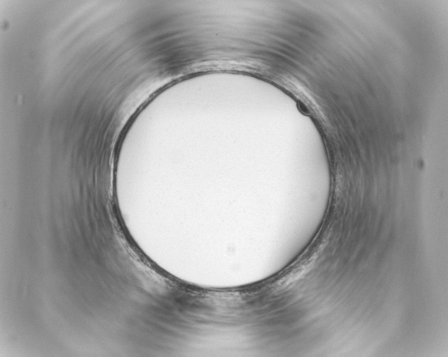 X0000088580844200706221314