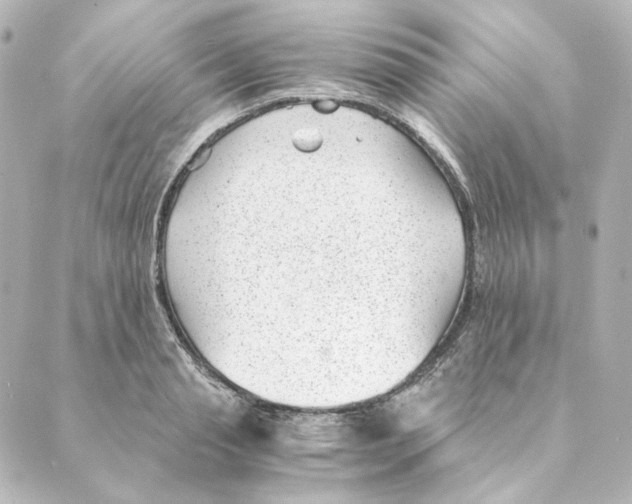 X0000088580845200706221314