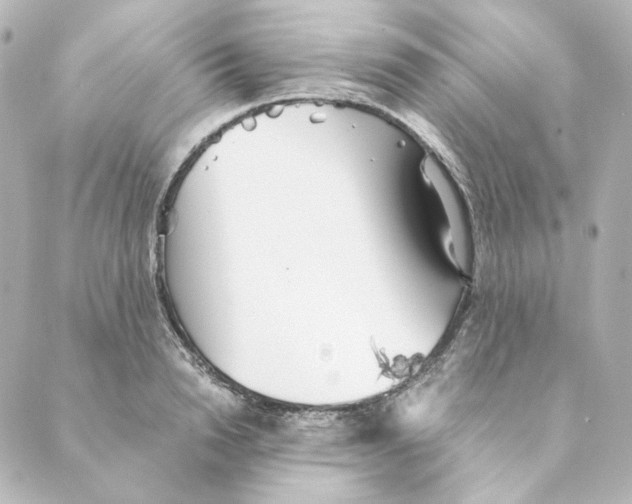 X0000088580846200706221314