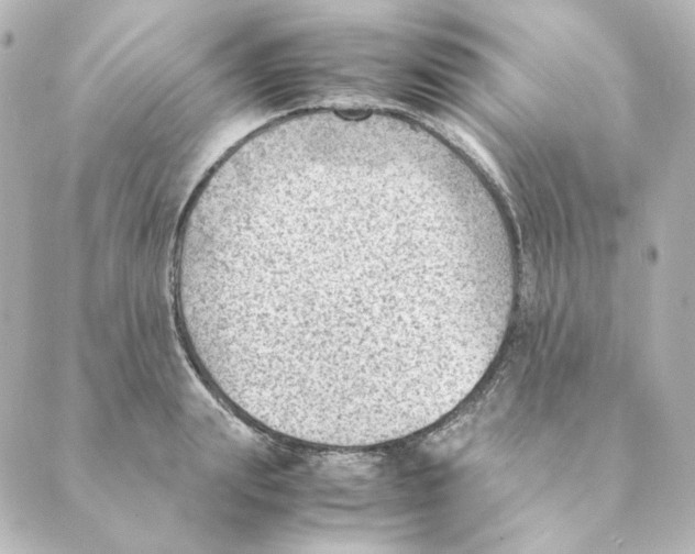 X0000088580847200706221314