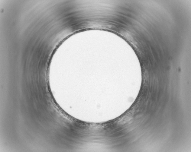 X0000088580848200706221314