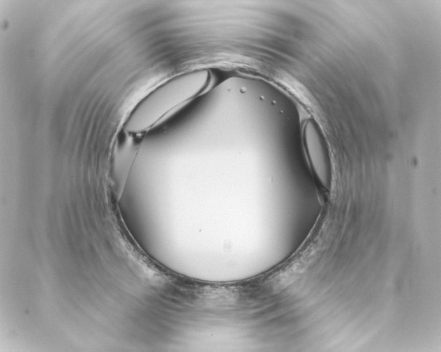 X0000088580850200706221314