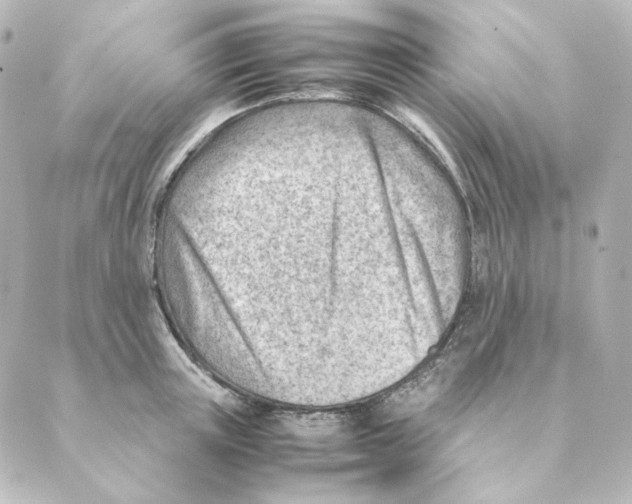 X0000088580851200706221314