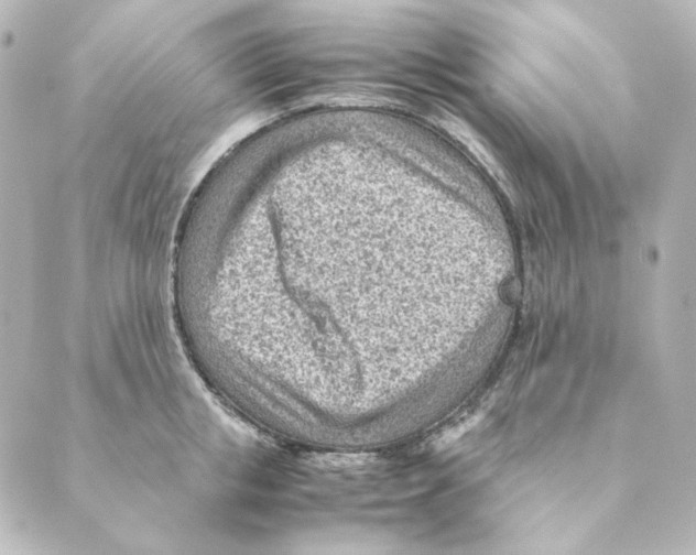 X0000088580853200706221314