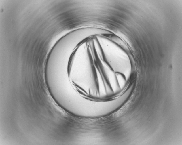 X0000088580854200706221314