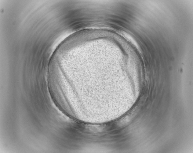 X0000088580855200706221314