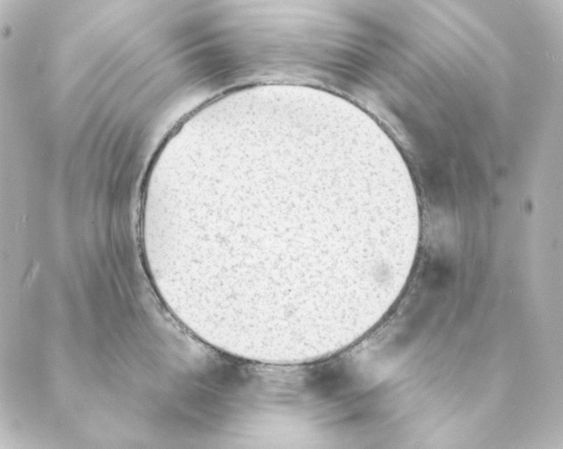 X0000088580856200706221314