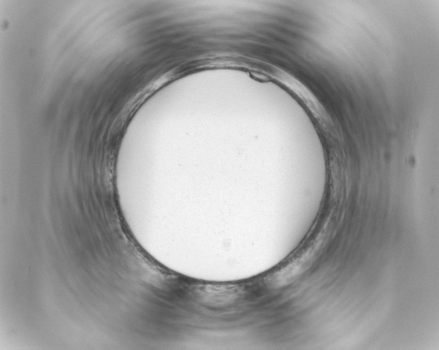 X0000088580857200706221314