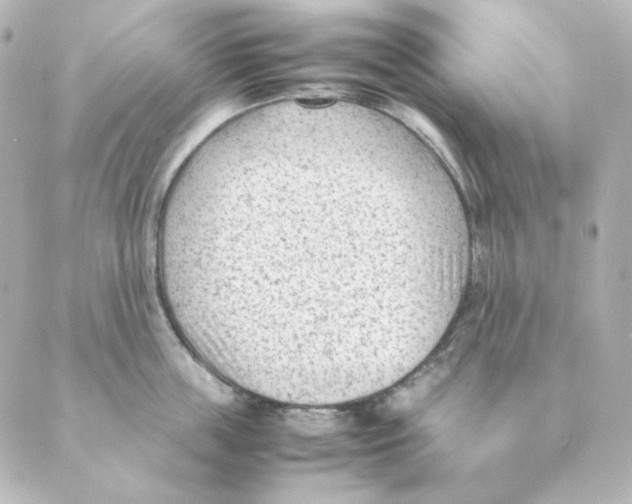 X0000088580859200706221314