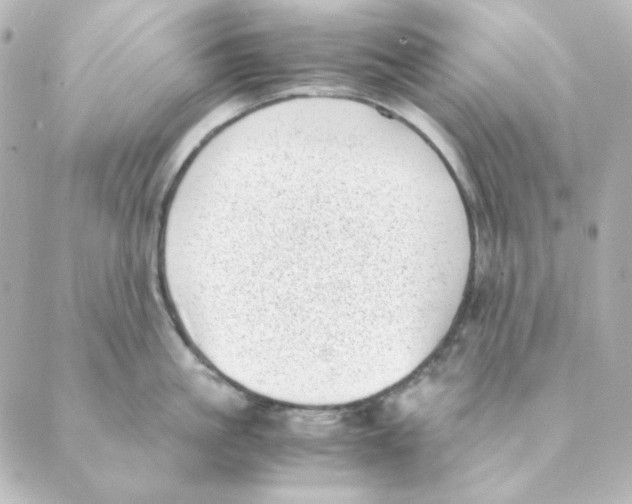 X0000088580861200706221314