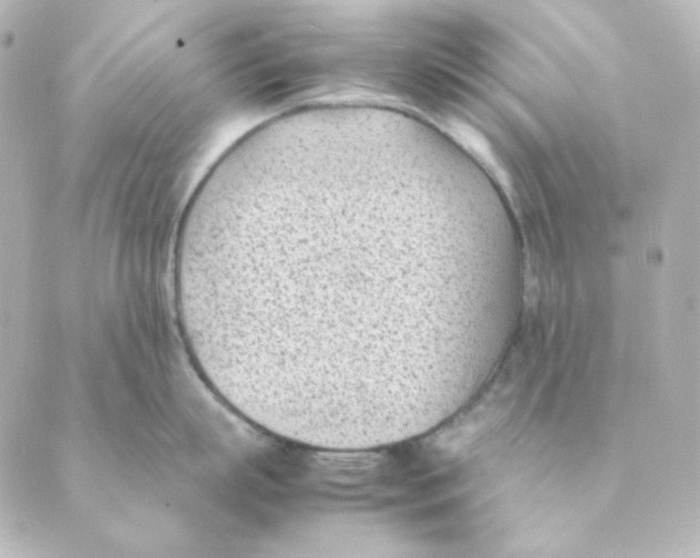 X0000088580863200706221314