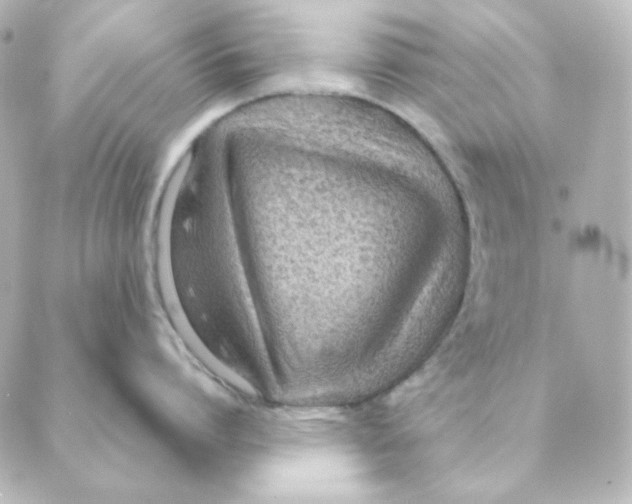 X0000088580864200706221314